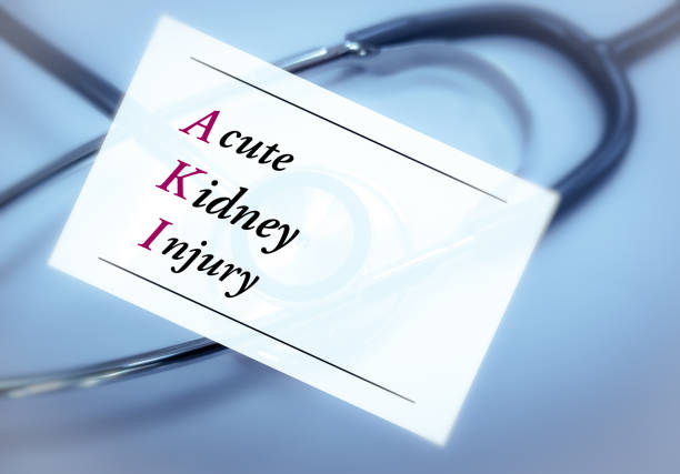 間充質干細胞治療急性腎損傷的4大機制,你都了解嗎? 間充質干細胞治療急性腎損傷的4大機制,你都了解嗎?