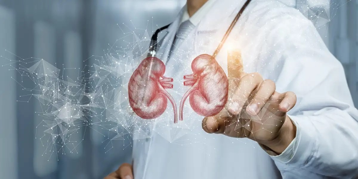 慢性腎病如何治療？干細胞治療為慢性腎病患者指明了一條新道路