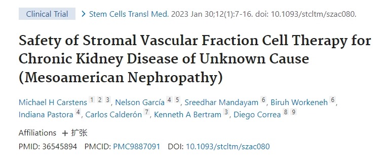 基質血管成分細胞療法治療原因不明的慢性腎病（中美洲腎病）的安全性