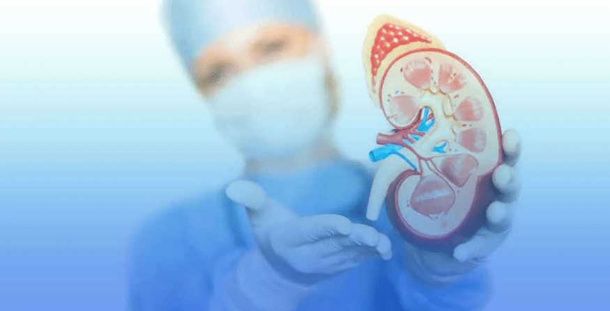 干細胞療法：為腎移植患者帶來減少免疫抑制劑、降低排斥風(fēng)險的新曙光！