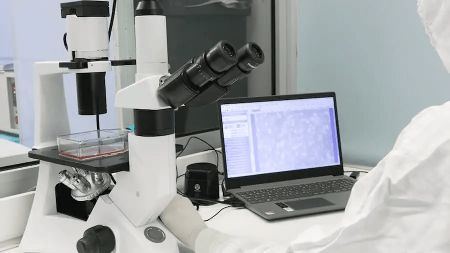 從實驗室到臨床：干細胞機構是如何生產高質量干細胞的？