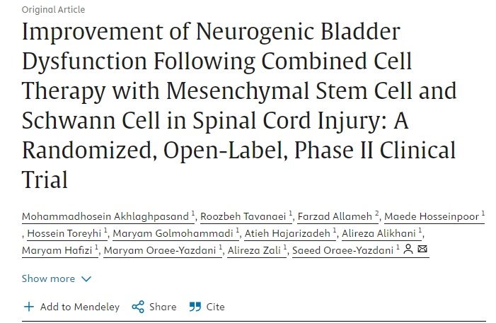 間充質(zhì)干細(xì)胞和雪旺細(xì)胞聯(lián)合治療脊髓損傷后神經(jīng)源性膀胱功能障礙的改善：一項(xiàng)隨機(jī)、開放標(biāo)簽、 II 期臨床試驗(yàn)