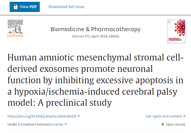 人羊膜間充質(zhì)干細(xì)胞來源的外泌體通過抑制缺氧/缺血誘導(dǎo)的腦癱模型中的過度細(xì)胞凋亡來促進(jìn)神經(jīng)元功能：一項(xiàng)臨床前研究