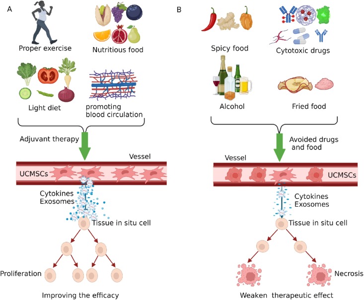 圖3：臍帶間充質干細胞治療期間應避免輔助療法、藥物及食物。