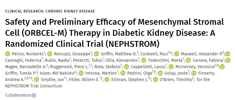 間充質基質細胞（ORBCEL-M）治療糖尿病腎病的安全性和初步療效：隨機臨床試驗（NEPHSTROM）