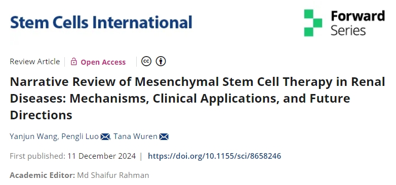 最新綜述：干細胞治療腎臟疾病的機制、臨床應用和未來方向