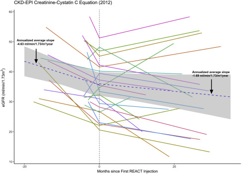 圖1:eGFR(肌酐和胱抑素 C,2012CKD-EPI)對SRC注射的反應。 圖1:eGFR(肌酐和胱抑素 C,2012CKD-EPI)對SRC注射的反應。