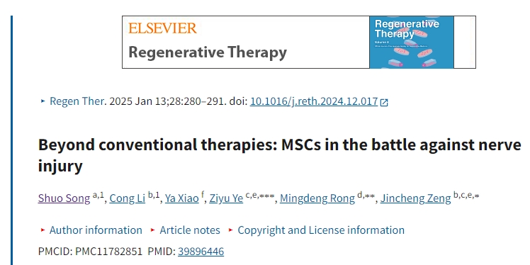 超越傳統(tǒng)療法：間充質(zhì)干細(xì)胞對(duì)抗神經(jīng)損傷