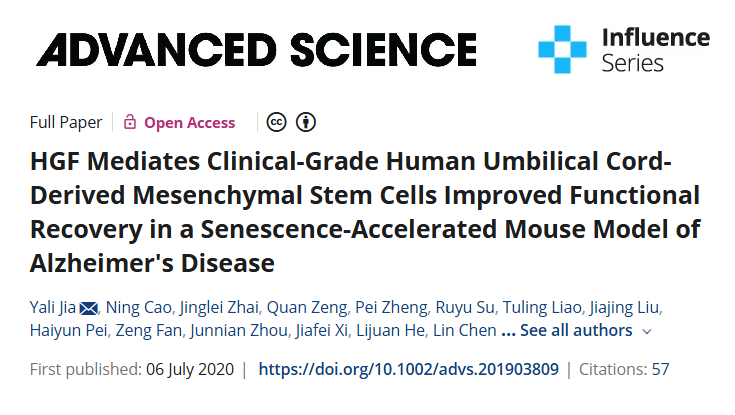 HGF 介導(dǎo)臨床級人臍帶間充質(zhì)干細(xì)胞改善阿爾茨海默病衰老加速小鼠模型的功能恢復(fù)