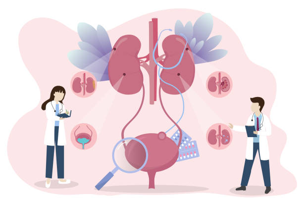 探索干細胞療法：真的能減少腎病患者的透析頻率嗎？