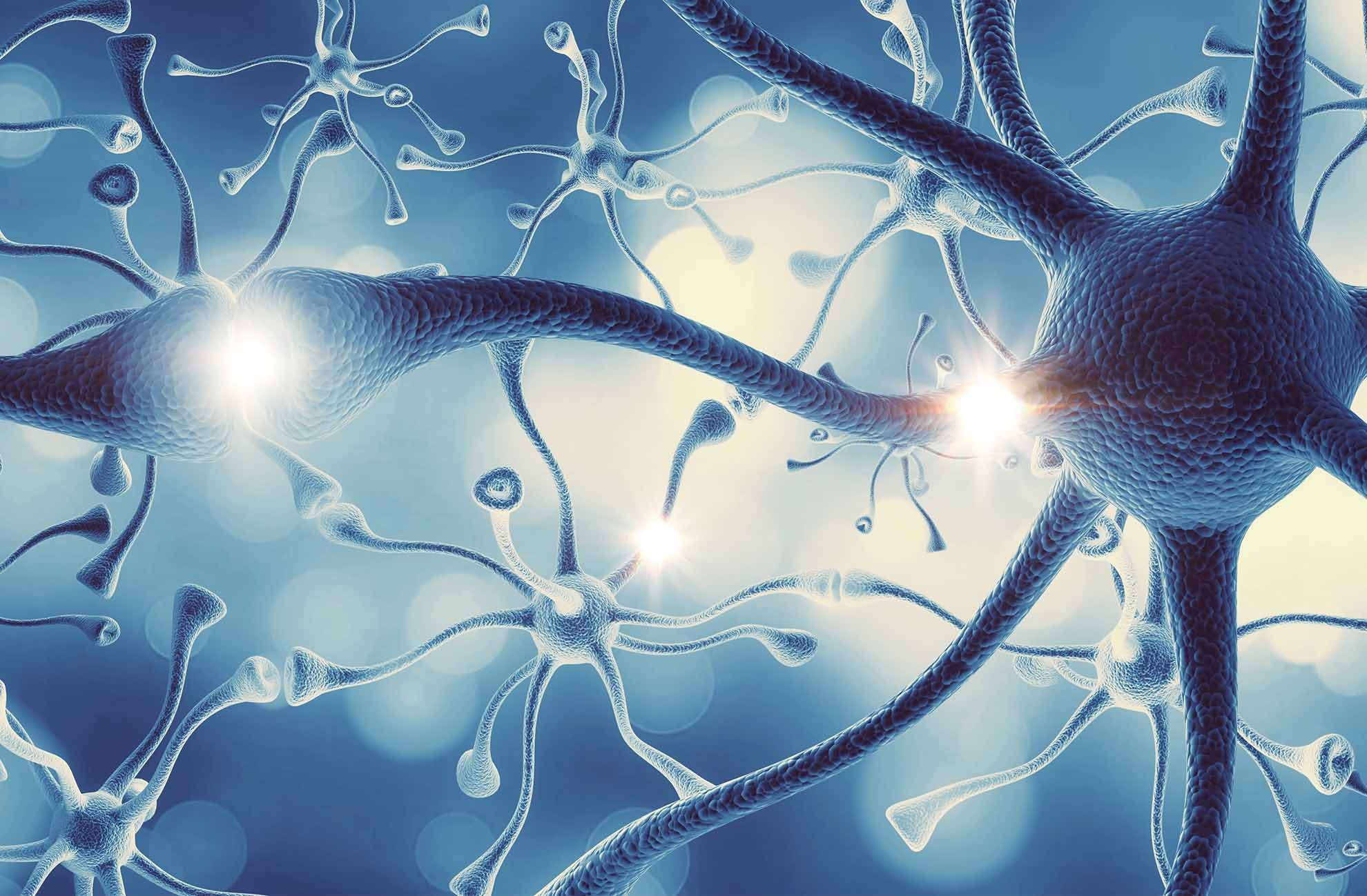 北京協(xié)和醫(yī)院領(lǐng)銜！全國十大醫(yī)院神經(jīng)干細胞移植臨床試驗最新進展解讀