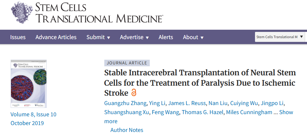 神經(jīng)干細(xì)胞穩(wěn)定腦內(nèi)移植治療缺血性中風(fēng)所致癱瘓