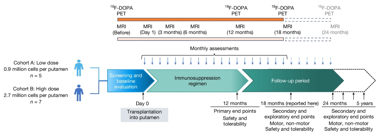 圖1：研究設(shè)計概要。患者按順序入組低劑量組和高劑量組。