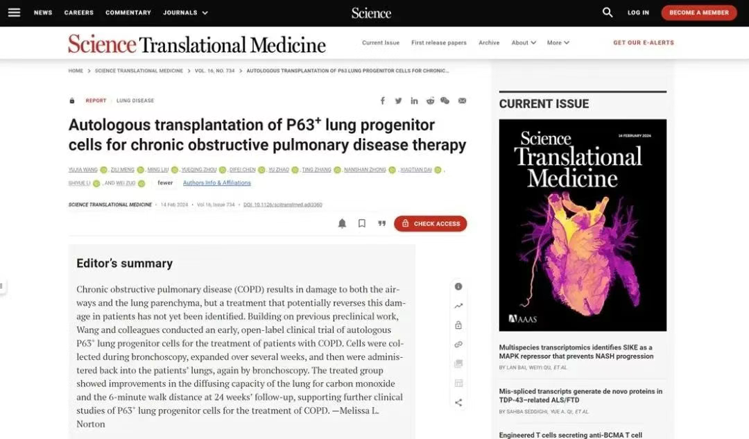 移植自體P63陽(yáng)性肺前體細(xì)胞用于慢性阻塞性肺病的治療