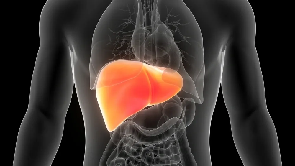 2025年1-10月干細(xì)胞治療肝衰竭的臨床最新進(jìn)展指南 2025年1-10月干細(xì)胞治療肝衰竭的臨床最新進(jìn)展指南