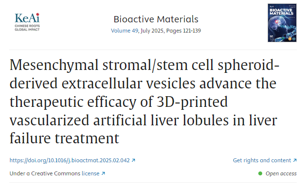 間充質(zhì)基質(zhì)/干細(xì)胞球體衍生的細(xì)胞外囊泡提高3D打印血管化人工肝小葉在肝衰竭治療中的療效 間充質(zhì)基質(zhì)/干細(xì)胞球體衍生的細(xì)胞外囊泡提高3D打印血管化人工肝小葉在肝衰竭治療中的療效