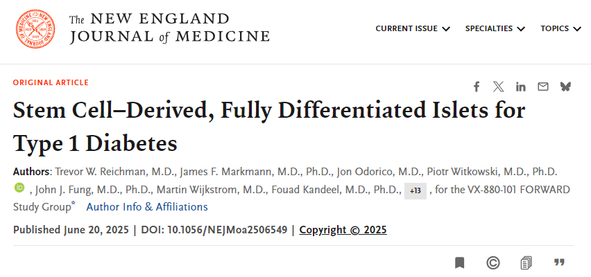 干細胞衍生的完全分化胰島用于治療1型糖尿病 干細胞衍生的完全分化胰島用于治療1型糖尿病