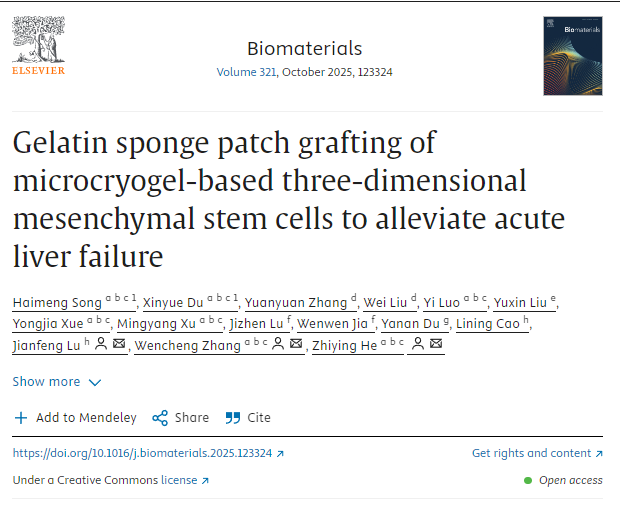 利用微冷凍凝膠構(gòu)建的三維間充質(zhì)干細(xì)胞進(jìn)行明膠海綿貼片移植,以緩解急性肝衰竭