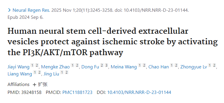 人類神經干細胞來源的細胞外囊泡通過激活PI3K/AKT/mTOR通路發揮抗缺血性卒中的保護作用