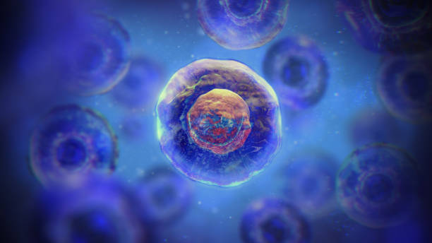 間充質干細胞一針多少錢？2025年價格全景圖與避坑指南