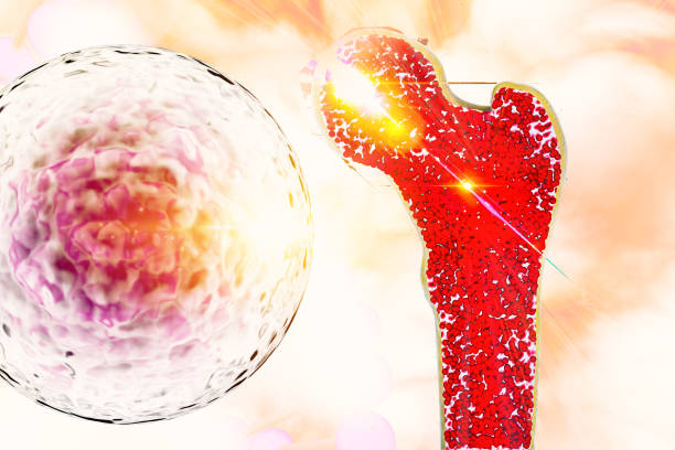 干細(xì)胞移植對捐獻(xiàn)者身體有害嗎？2025年醫(yī)學(xué)真相大揭秘（附捐獻(xiàn)者自述）