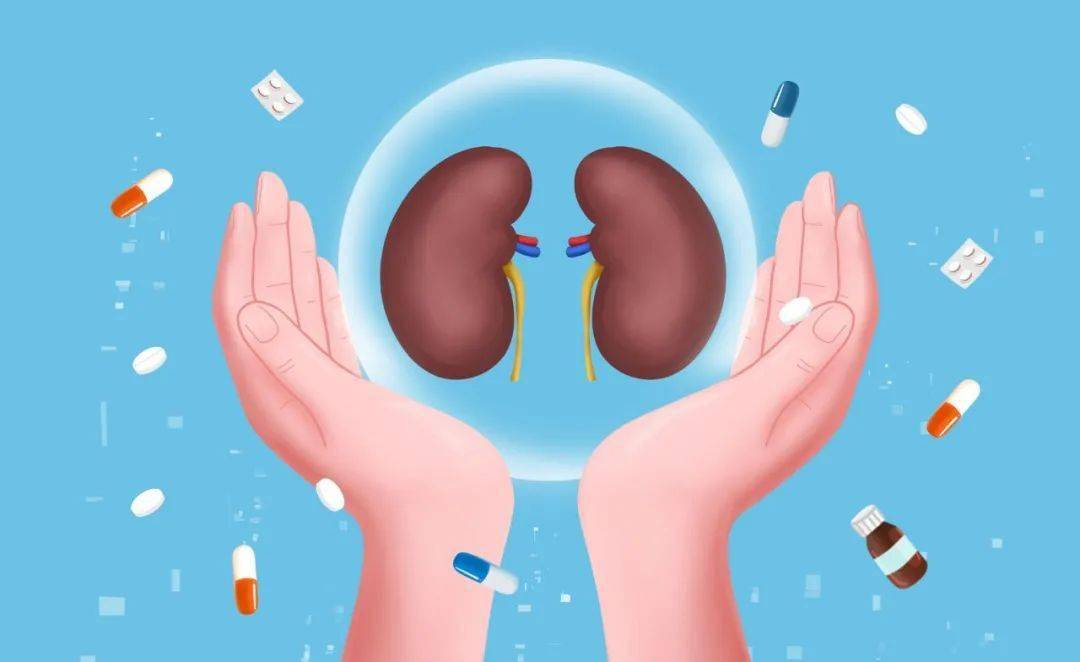 干細胞治療腎病國家叫停了?科學爭議與政策博弈背后的真相 干細胞治療腎病國家叫停了?科學爭議與政策博弈背后的真相