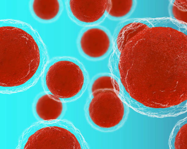 異體干細胞移植排異反應概率有多大全解析:從40%高風險到9.1%的生存革命 異體干細胞移植排異反應概率有多大全解析:從40%高風險到9.1%的生存革命