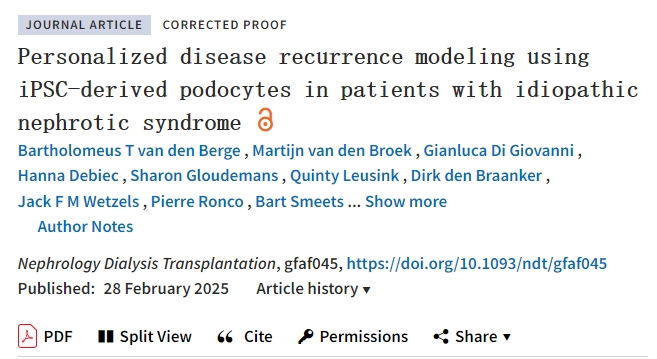 使用 iPSC 衍生的足細胞對特發(fā)性腎病綜合征患者進行個性化疾病復(fù)發(fā)建模