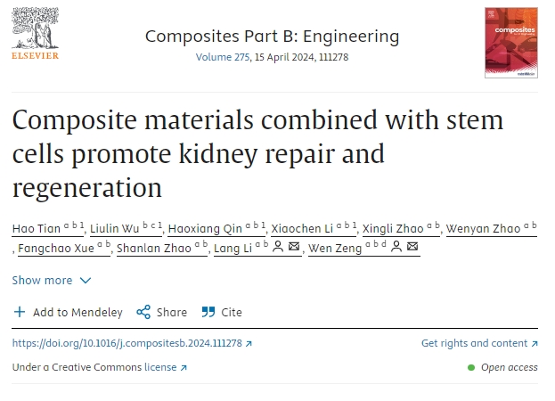 復(fù)合材料結(jié)合干細(xì)胞促進(jìn)腎臟修復(fù)再生