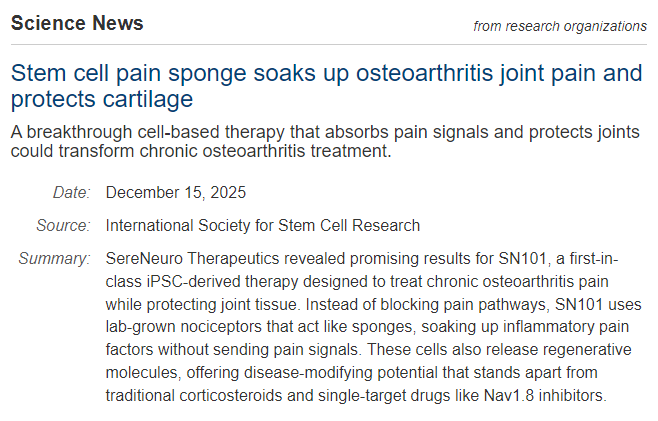 干細胞止痛海綿可吸收骨關節炎關節疼痛并保護軟骨