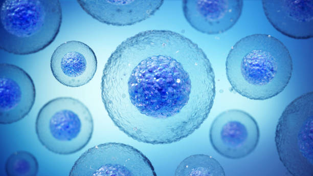 干細胞治療神經退行性疾病的干細胞類型都有哪些？