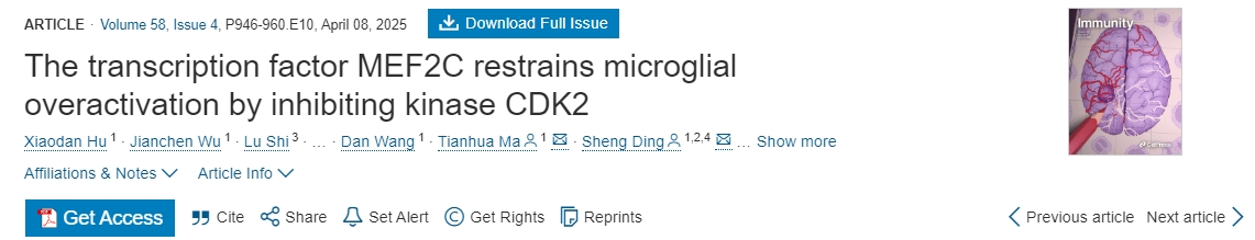 轉錄因子 MEF2C 通過抑制激酶 CDK2 來抑制小膠質細胞過度活化