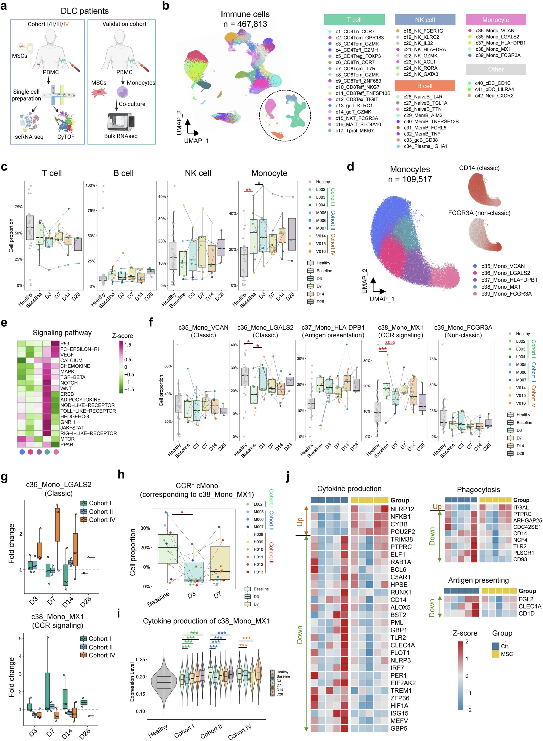 圖3:MSC治療下DLC患者的動態單細胞景觀 圖3:MSC治療下DLC患者的動態單細胞景觀