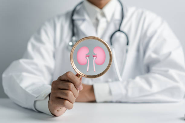 動脈內輸注間充質干細胞治療糖尿病腎病，腎功能衰退顯著減緩