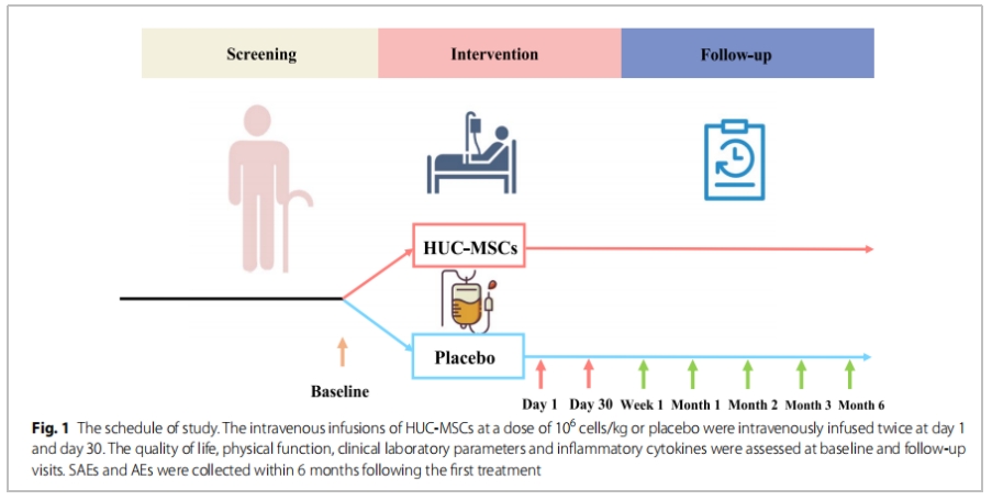 干細(xì)胞治療