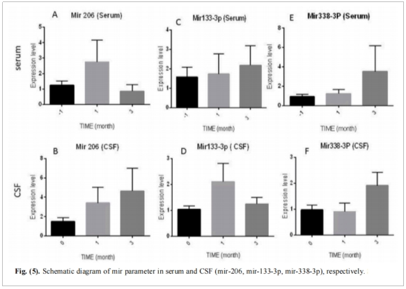 圖3：血清和腦脊液中miRNA參數(shù)的示意圖(mir-206、mir-133-3p、mir-338-3p)