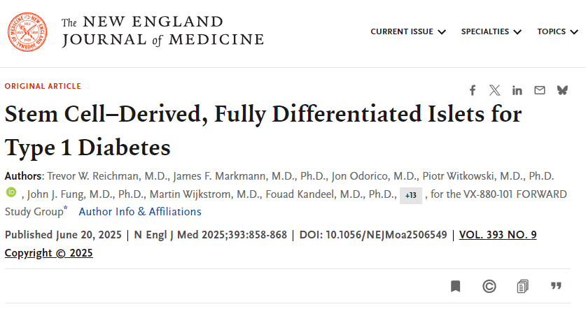 干細胞來源的完全分化胰島用于1型糖尿病治療