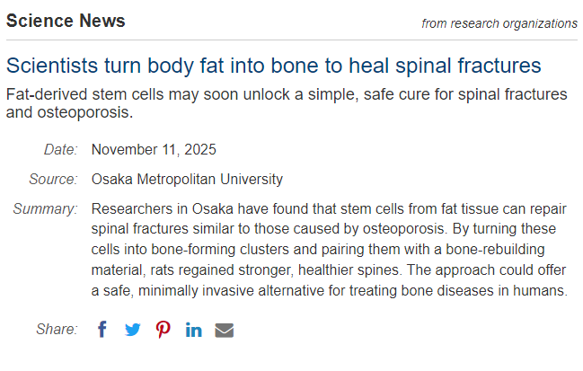 科學(xué)家將人體脂肪轉(zhuǎn)化為骨骼，用于修復(fù)脊柱骨折